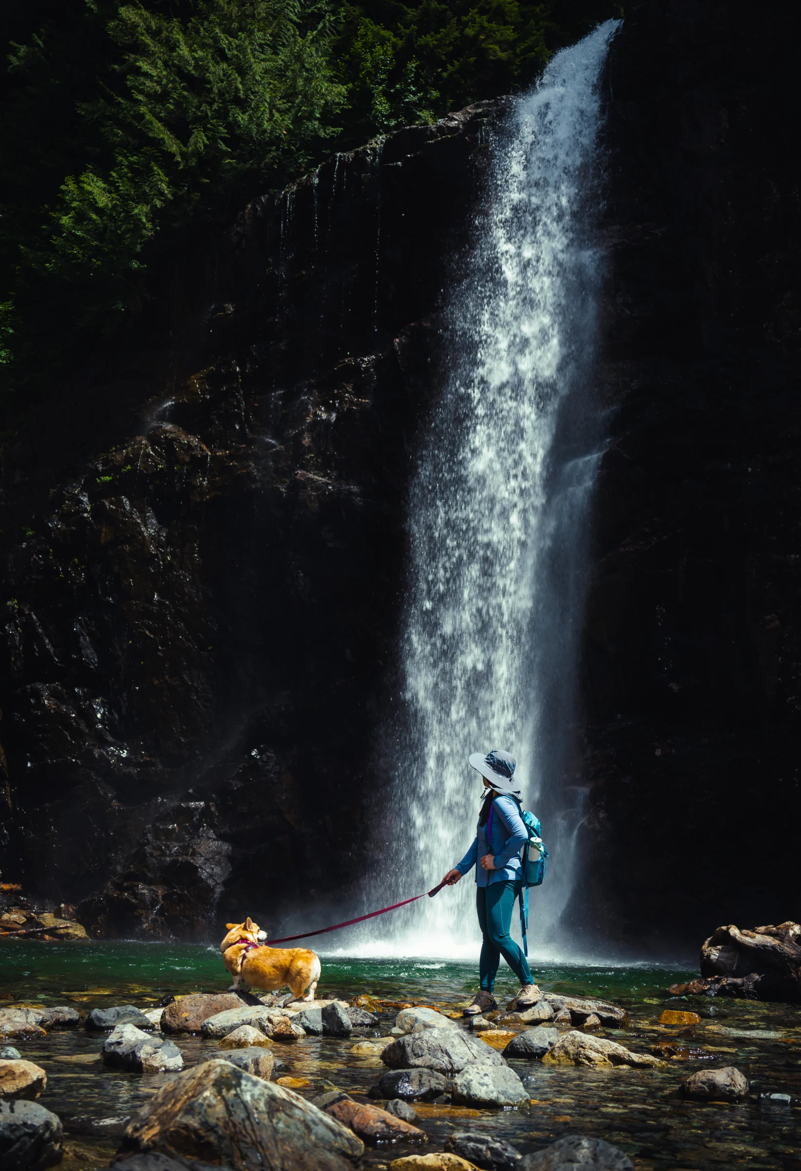 Waterfall Walk